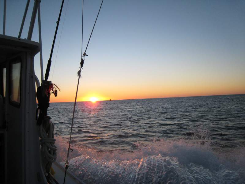 Sunrise from the duck hunting boat