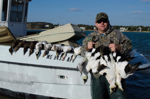 A hunter with eiders