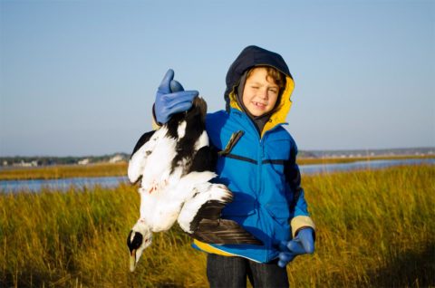 Boy holding an eider