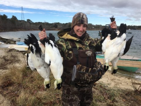 Four Eiders - a good day sea duck hunting