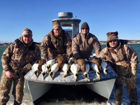 The results of a day's sea duck hunt