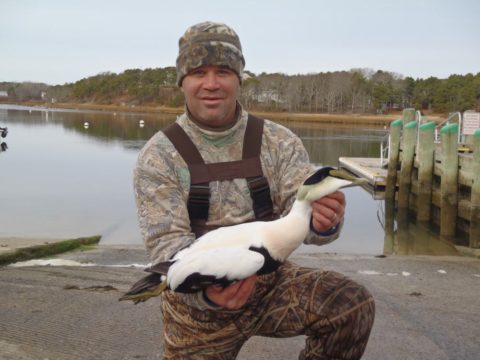 Sea duck hunter displays an eider