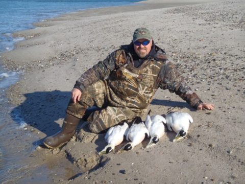 Sea duck hunter with four eiders