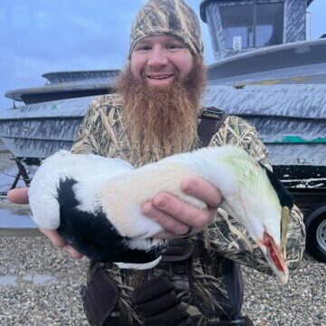 eider23 eider23